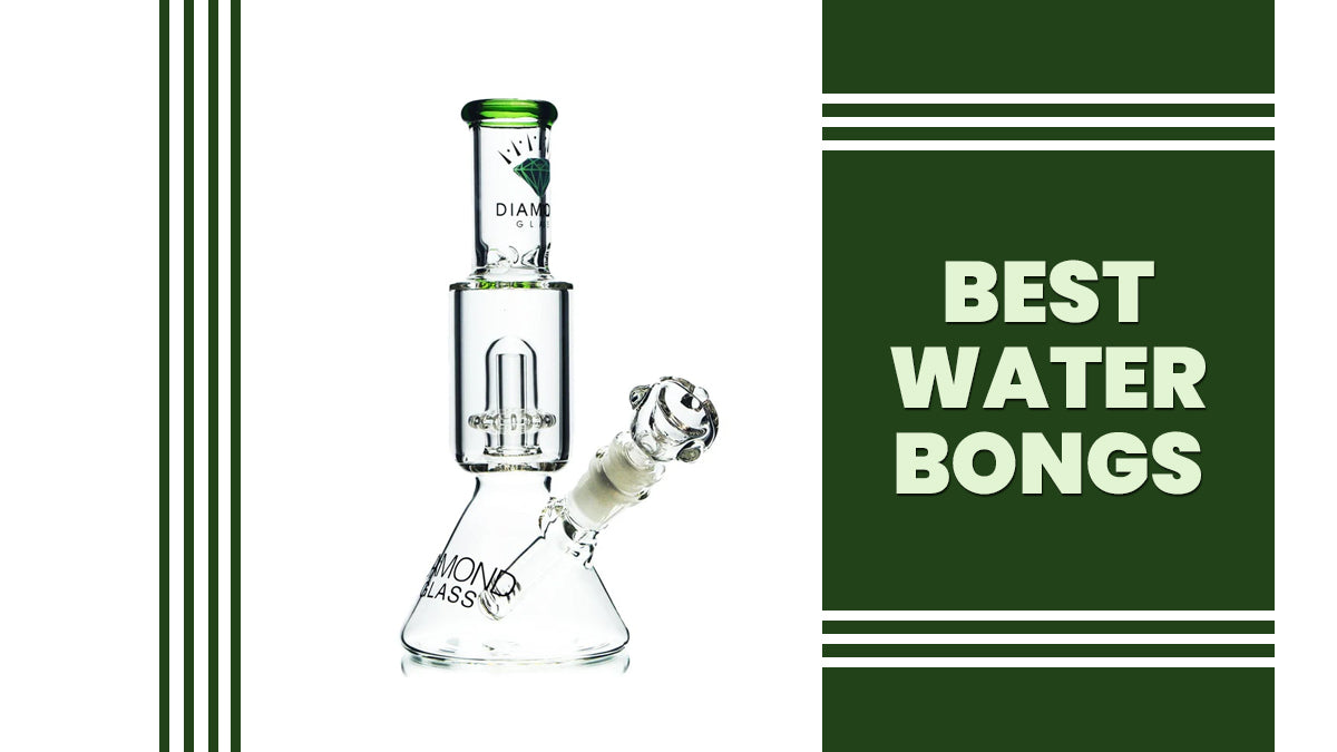 best water bongs