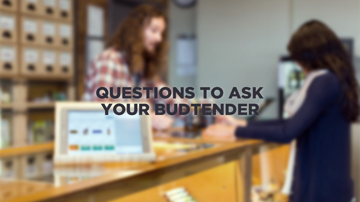 Questions to Ask Your Budtender