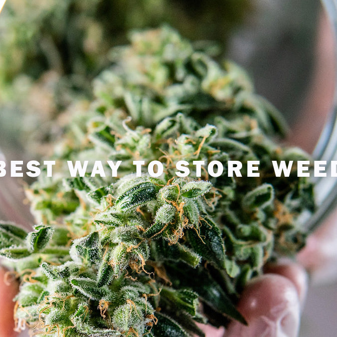 Best Way to Store Weed for Maximum Freshness