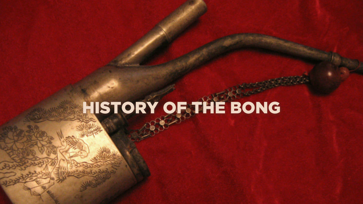 The History Of The Bong - Who What Where When?