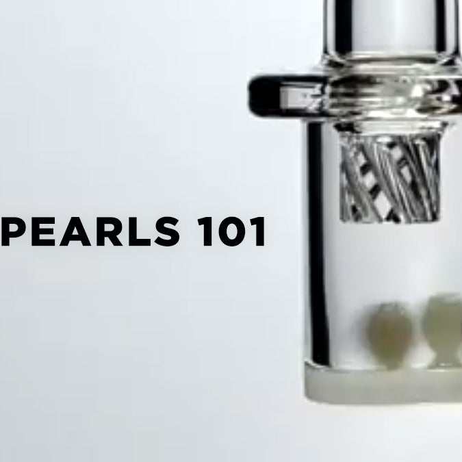 Terp Pearls: A Comprehensive Guide