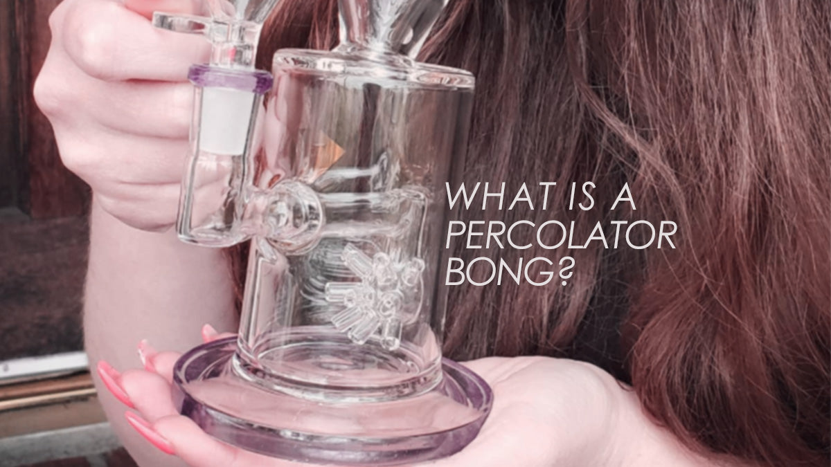 What Is A Percolator Bong?