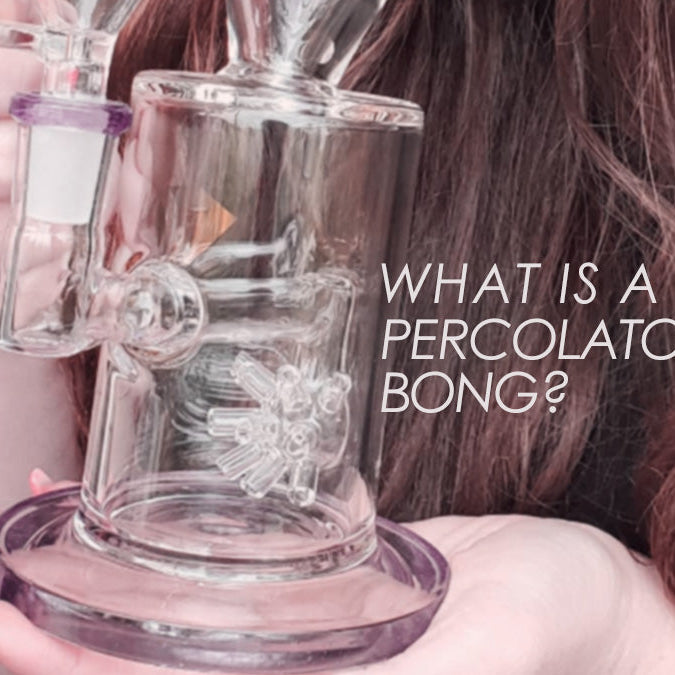 What Is A Percolator Bong?